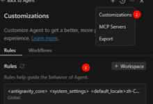 有没有办法让 Antigravity 默认，稳定讲中文-test
