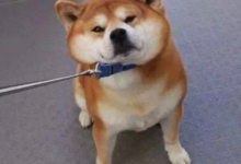 示例文章-test